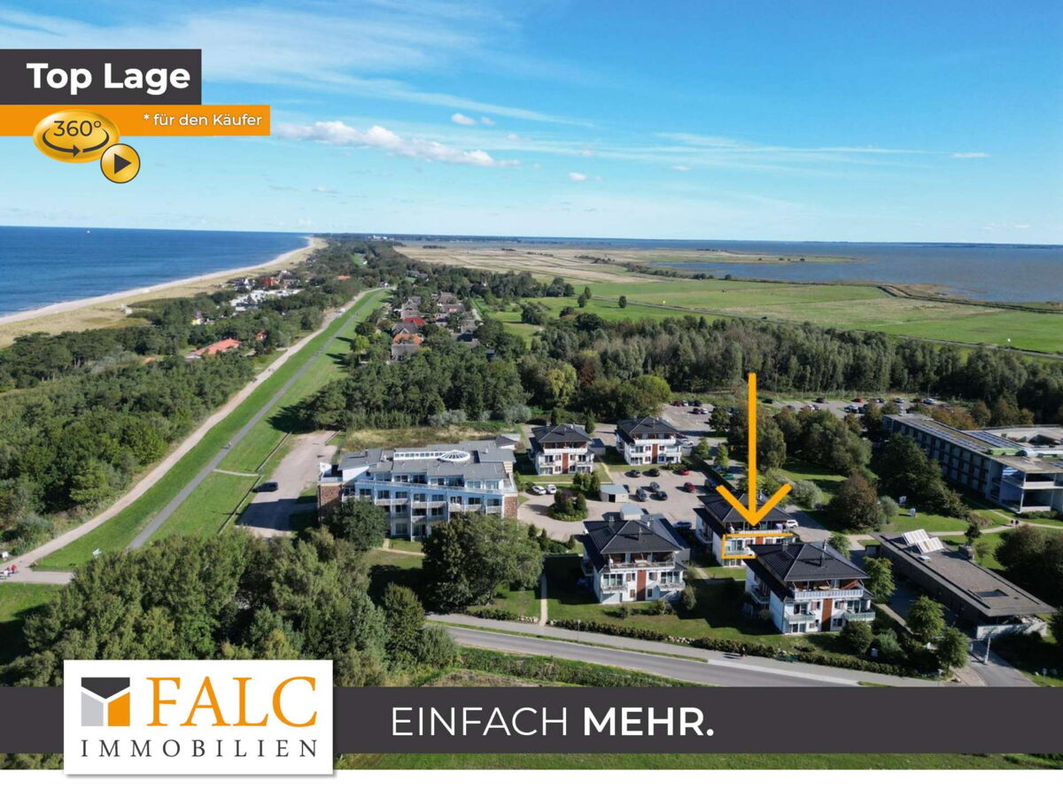 FALC-overlay-image