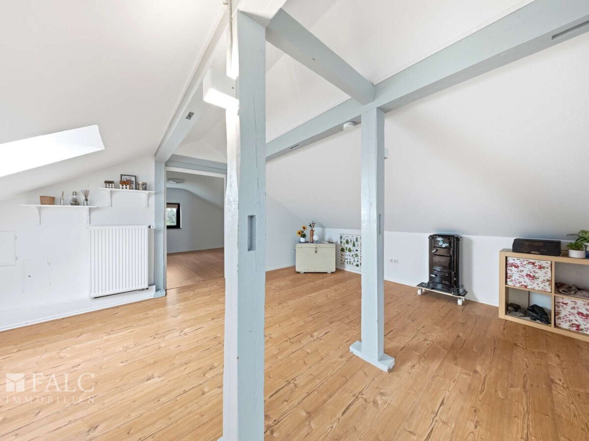 DG Studio