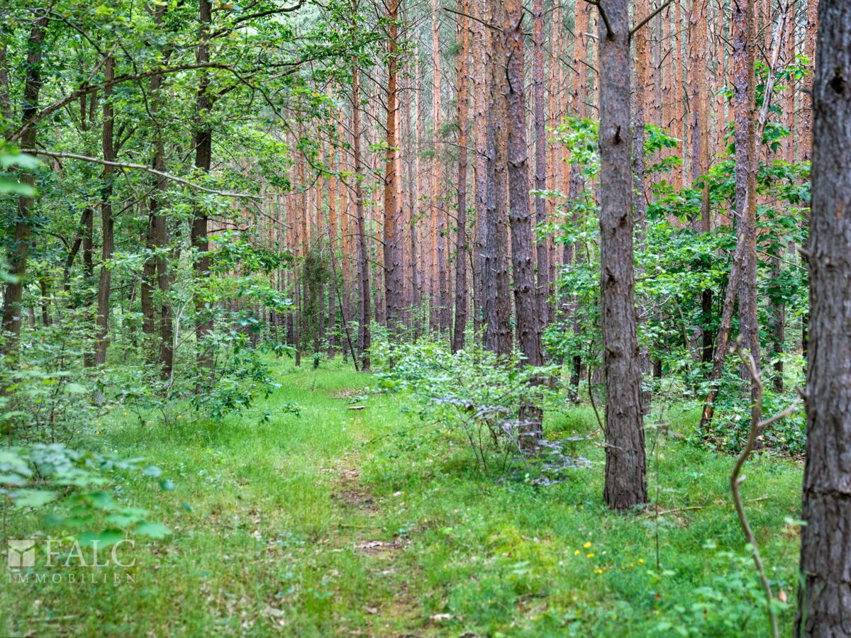 Natur pur