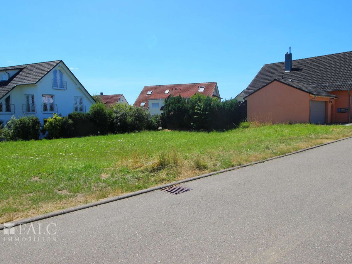 Bild-2