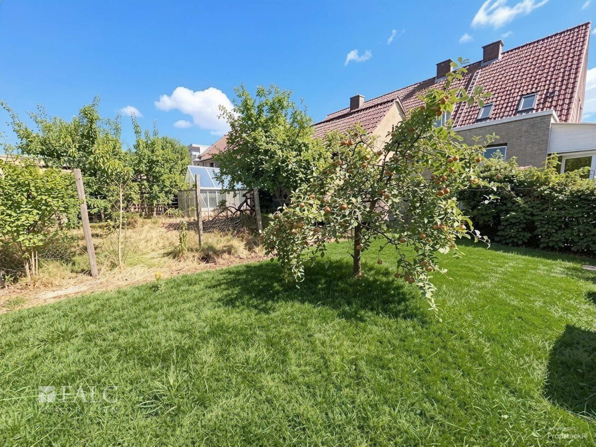  So könnte Ihr Garten aussehen (digital bearbeitet)