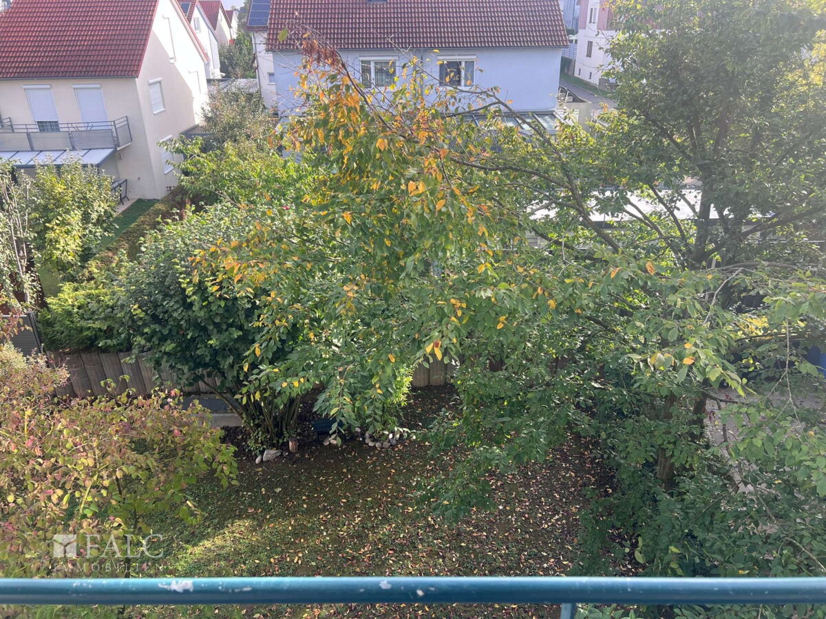 Blick in den Garten