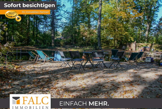 Teich