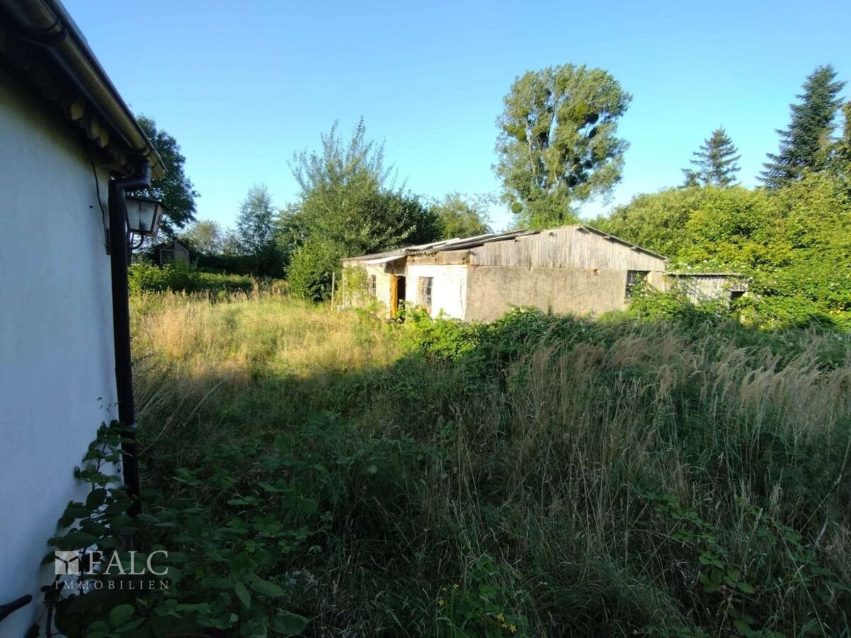 Garten mit Schuppen 