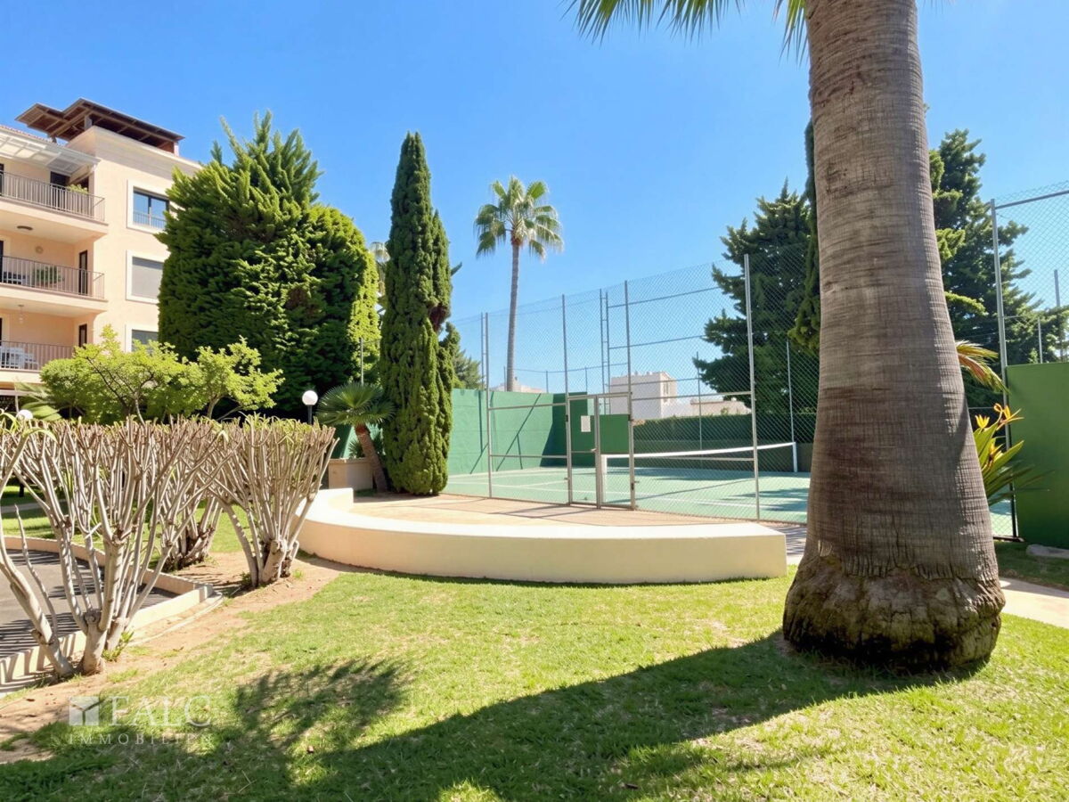 Padel 