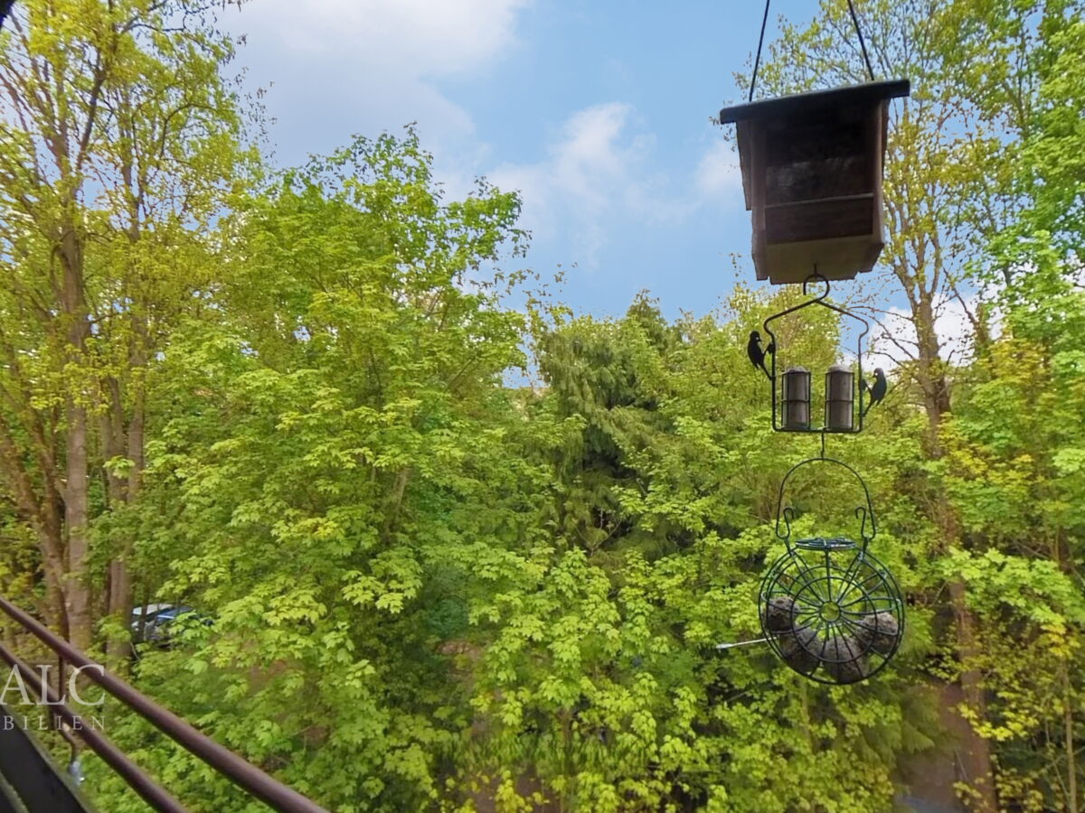 Blick nach hinten raus
