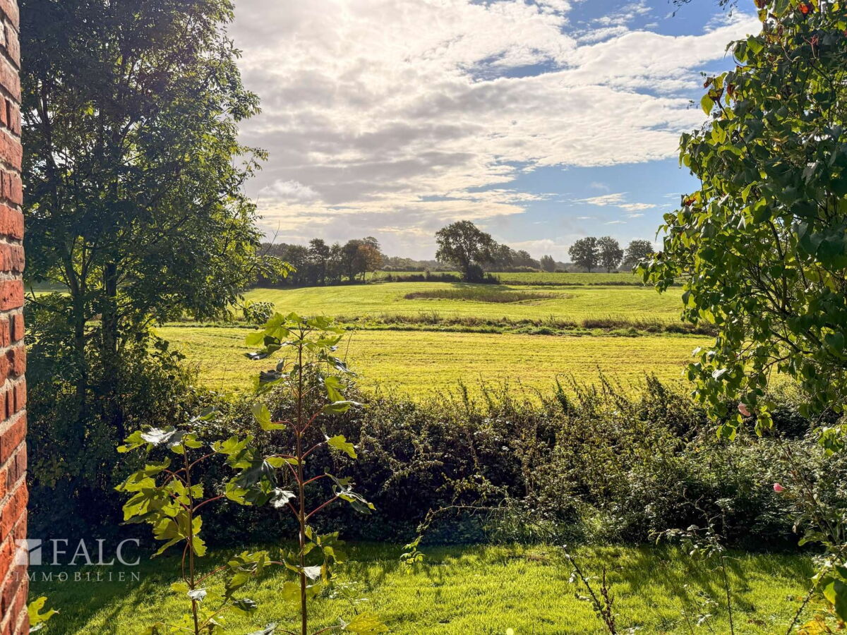 18. Blick in die Natur hinten im Garten