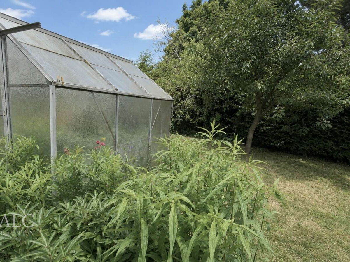 Garten mit Gewächshaus 