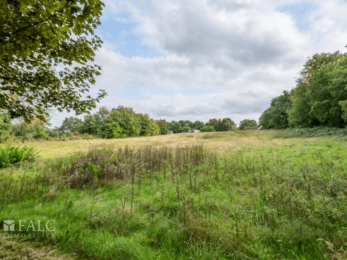 39. Blick auf die Koppel