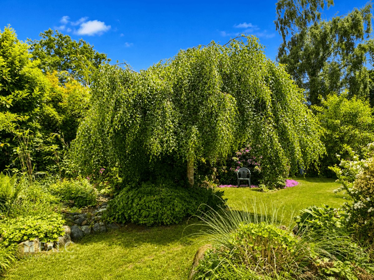 Schöner Garten!