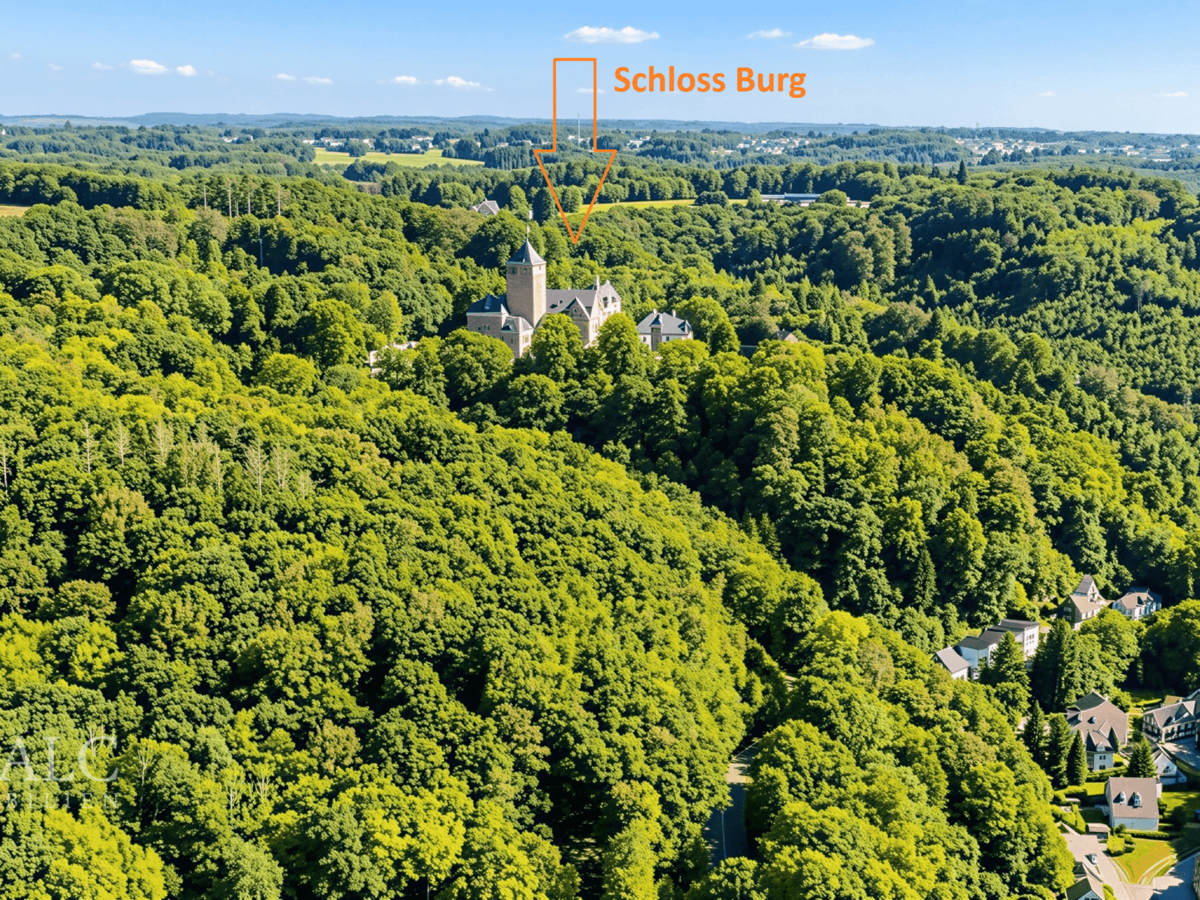 Schloss Burg