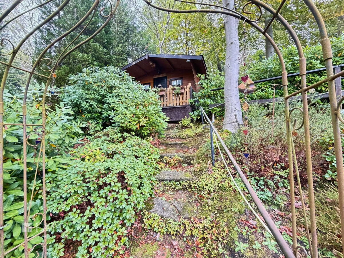 Garten mit Blick zur Hütte