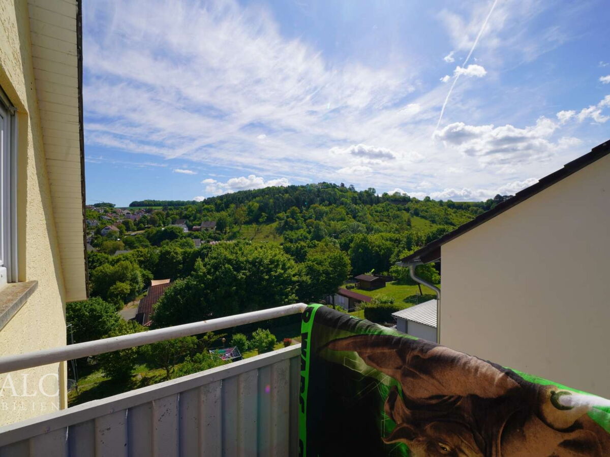 Fernblick