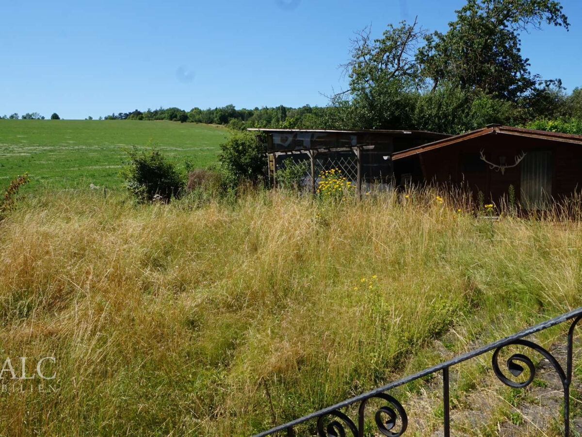 Blick in den Garten