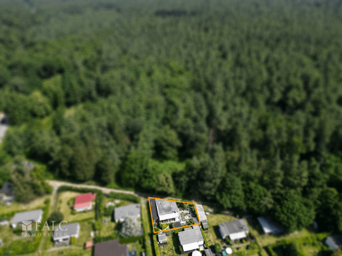 Luftaufnahme Waldgrundstück