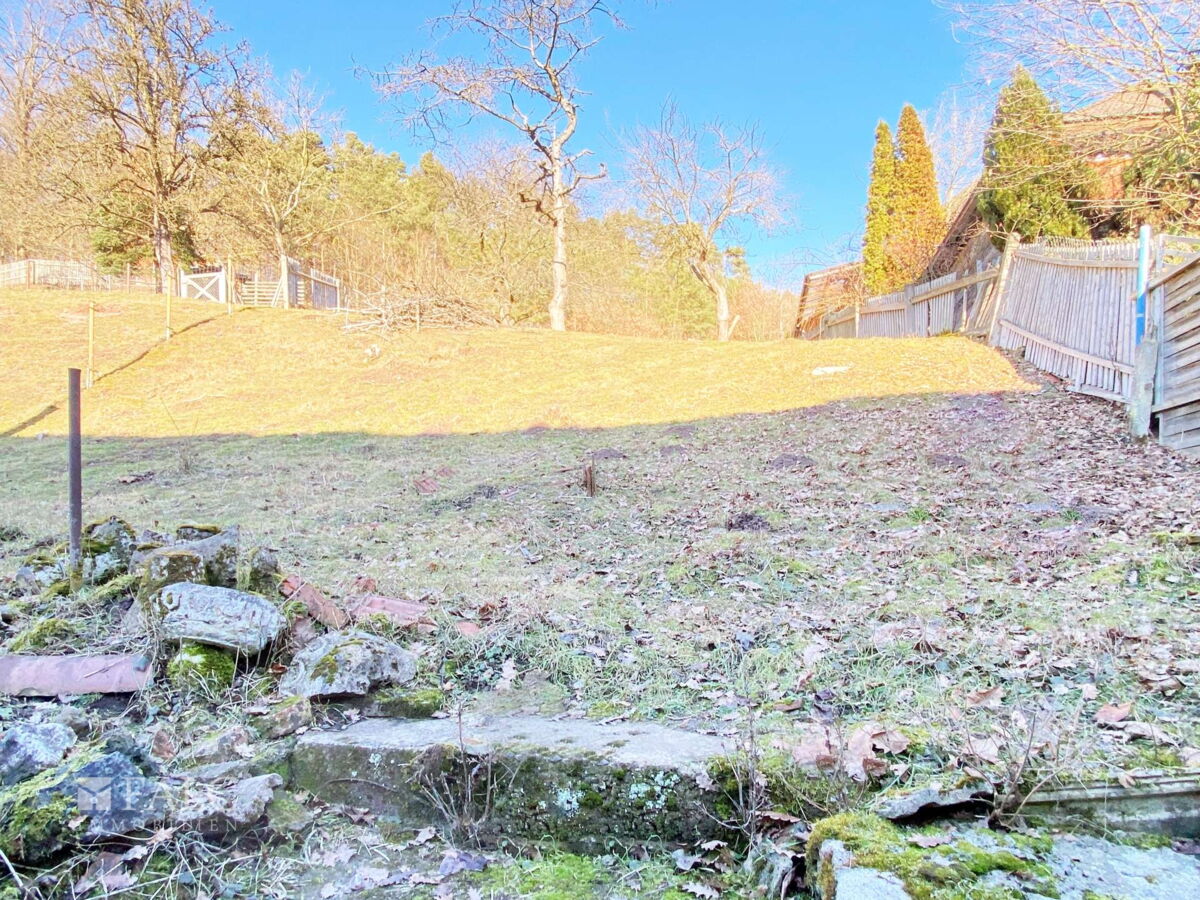 Gartenfläche