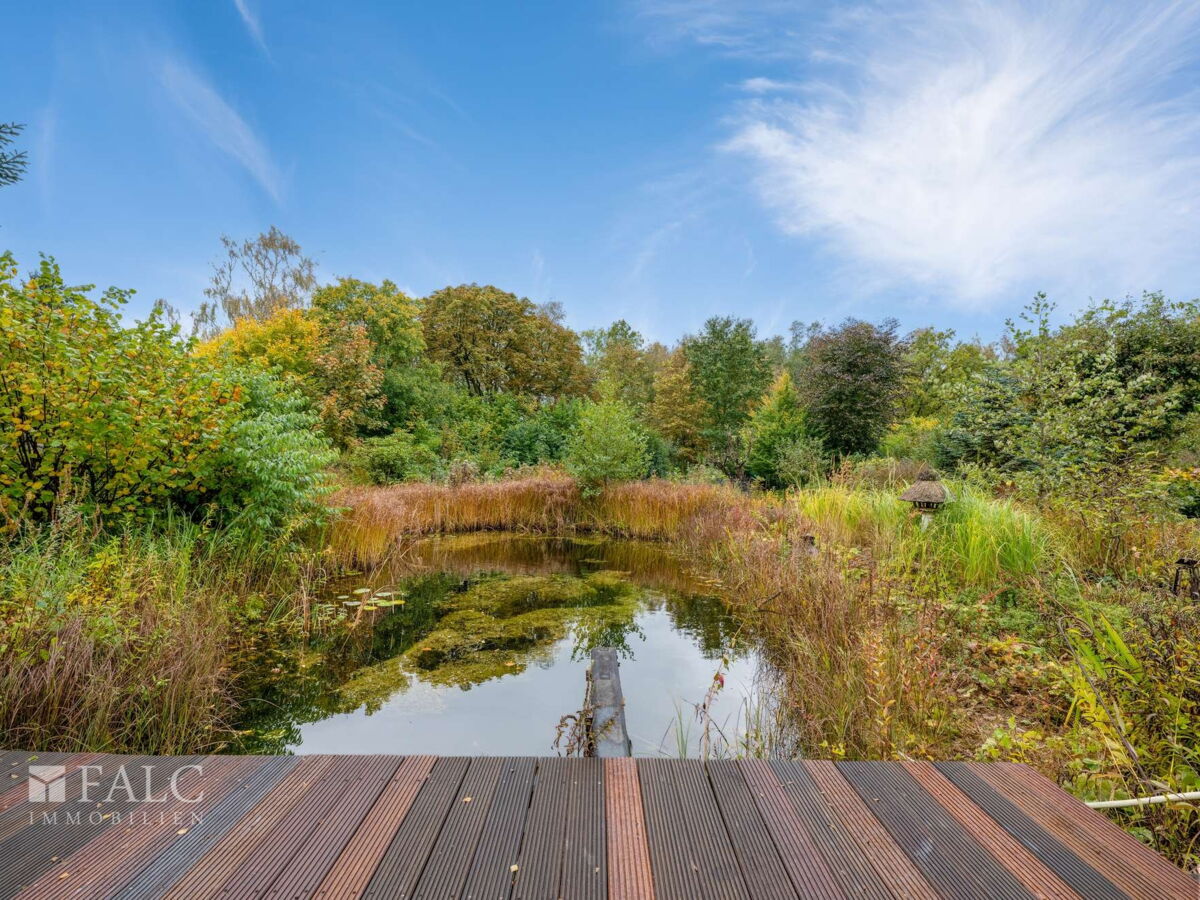 Gartenteich