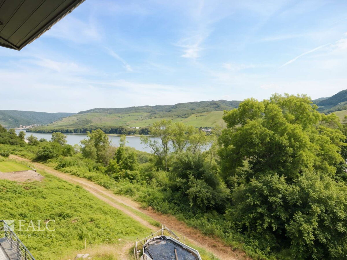 Rheinblick