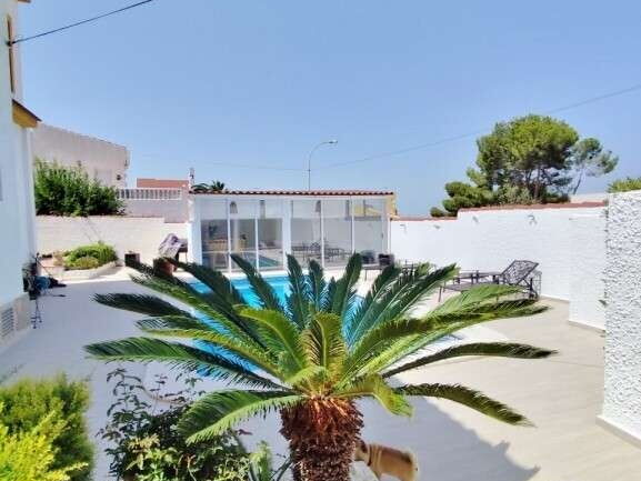 Pool-Palme