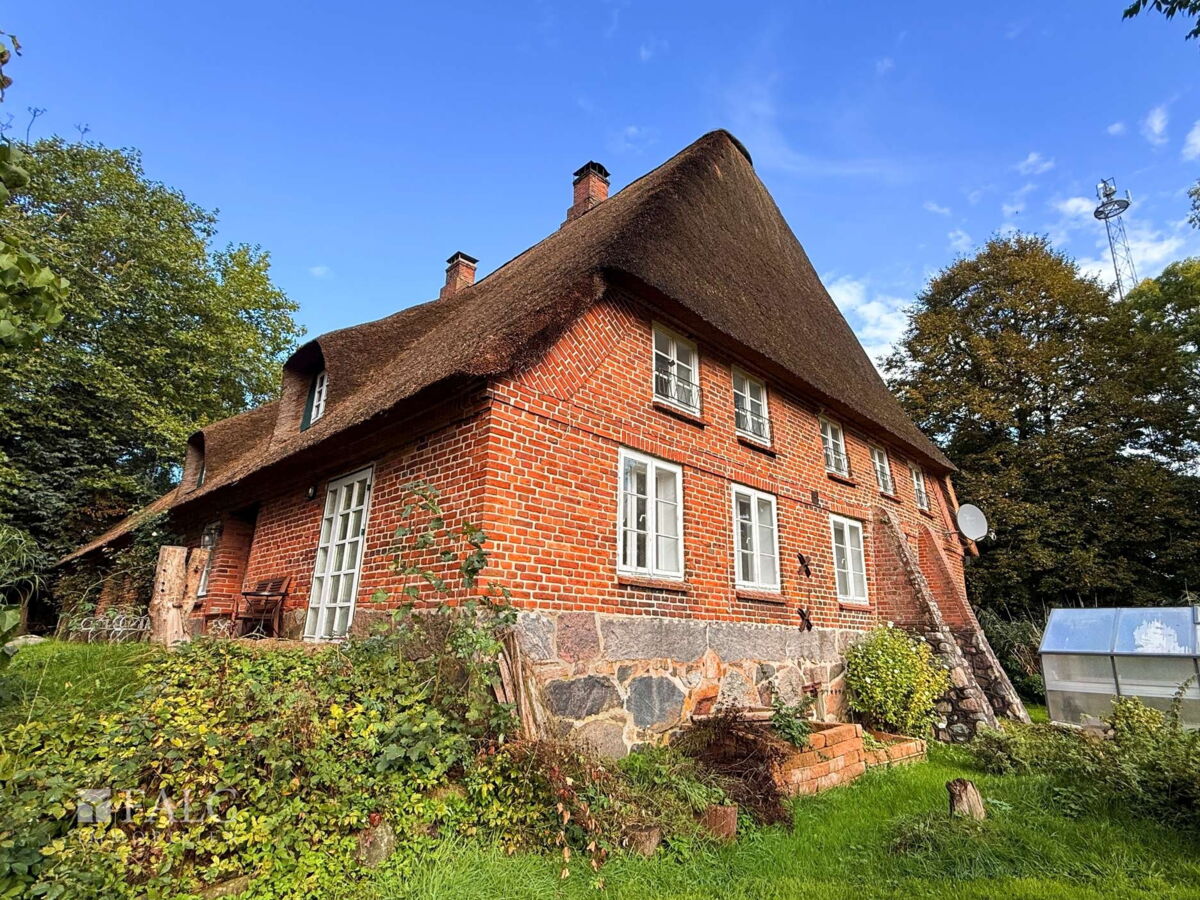41. Außenansicht hinten