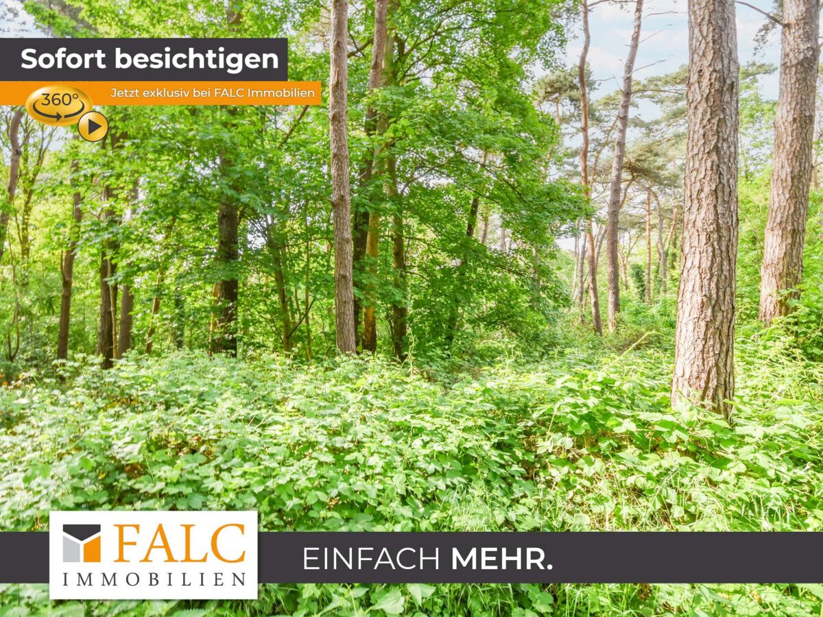 Naturbelassener Waldbereich