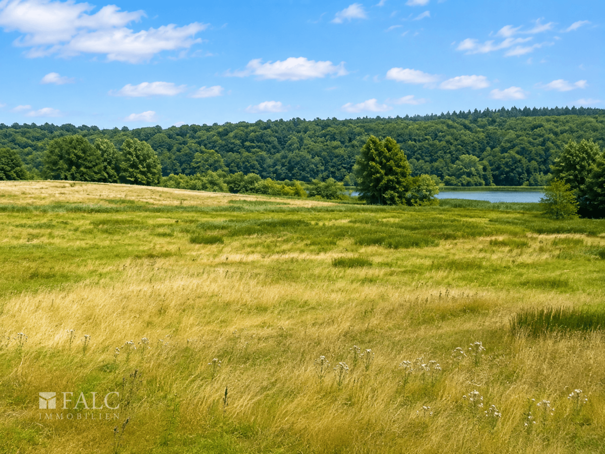 Feldansicht See