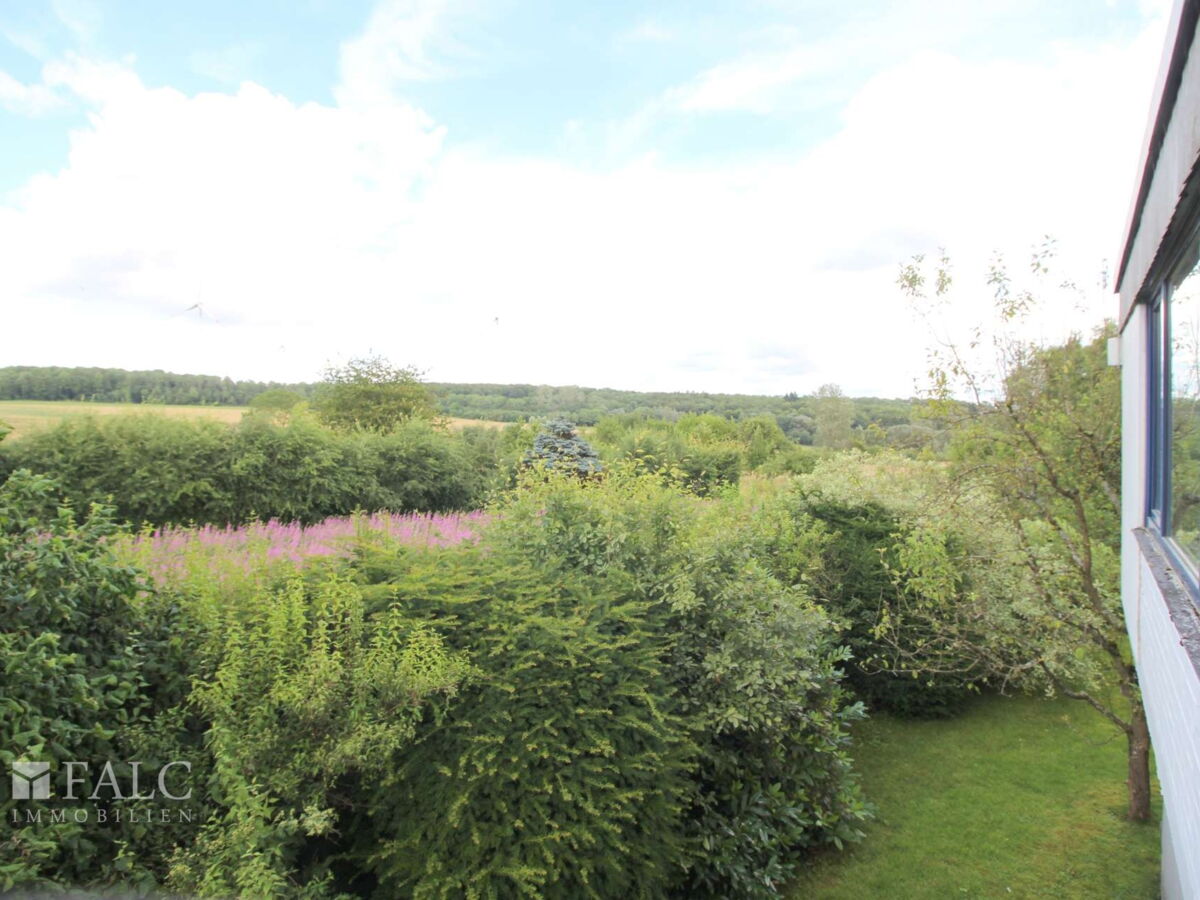 Ausblick ( mit KI optimiert)