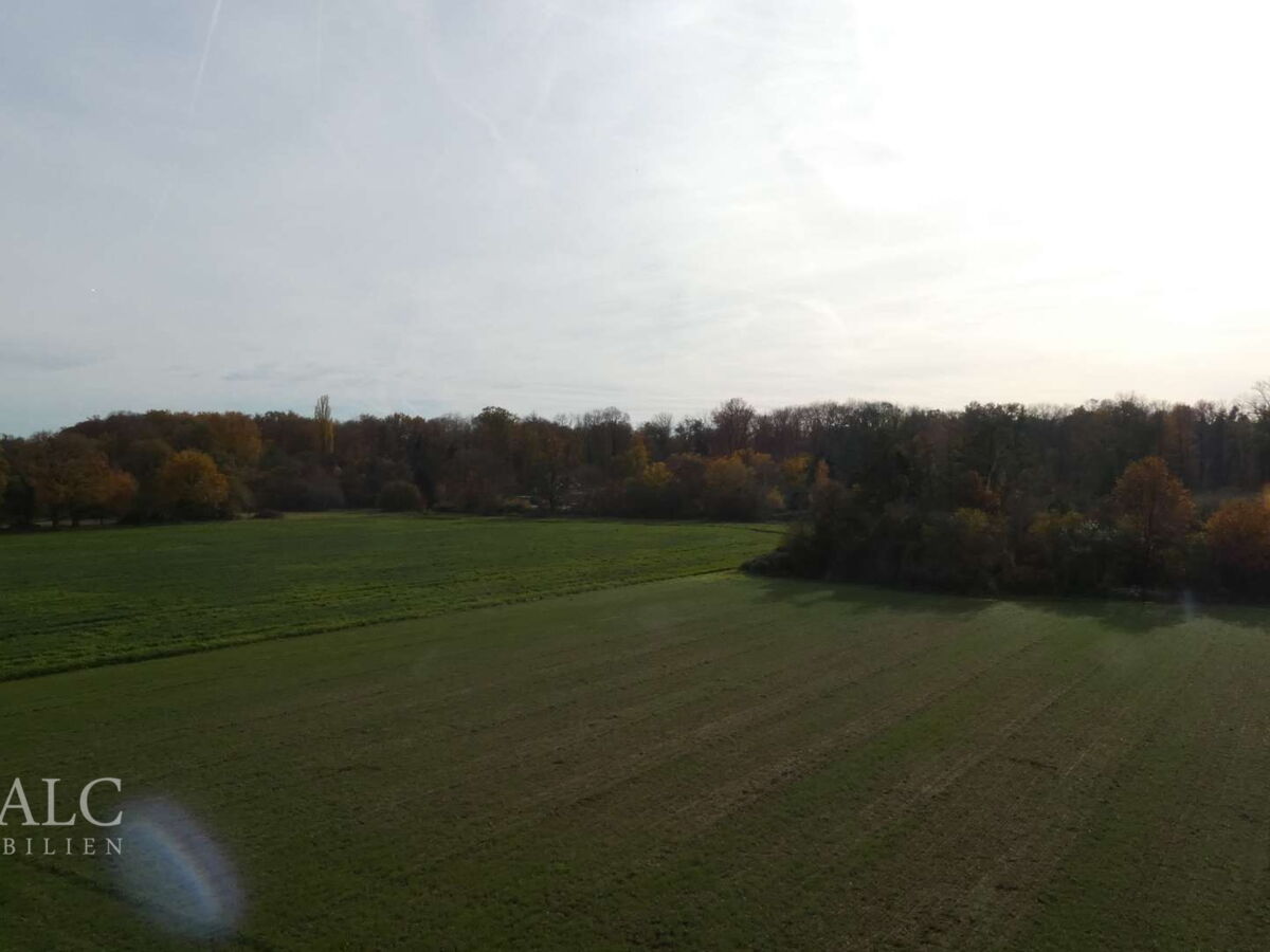 Blick ins Grüne