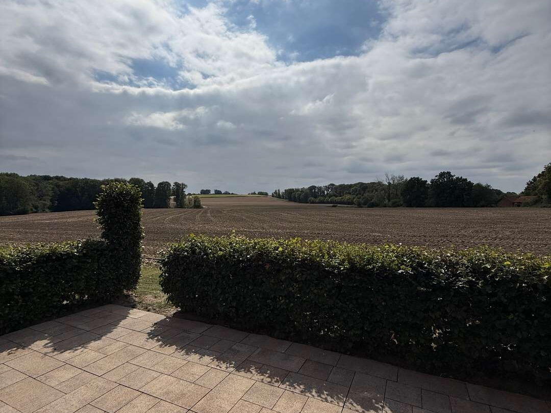 Terrasse Blick ins Grüne 