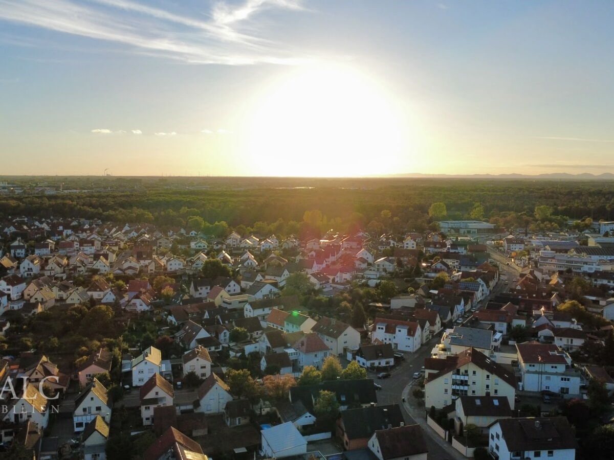 Forst Sonne
