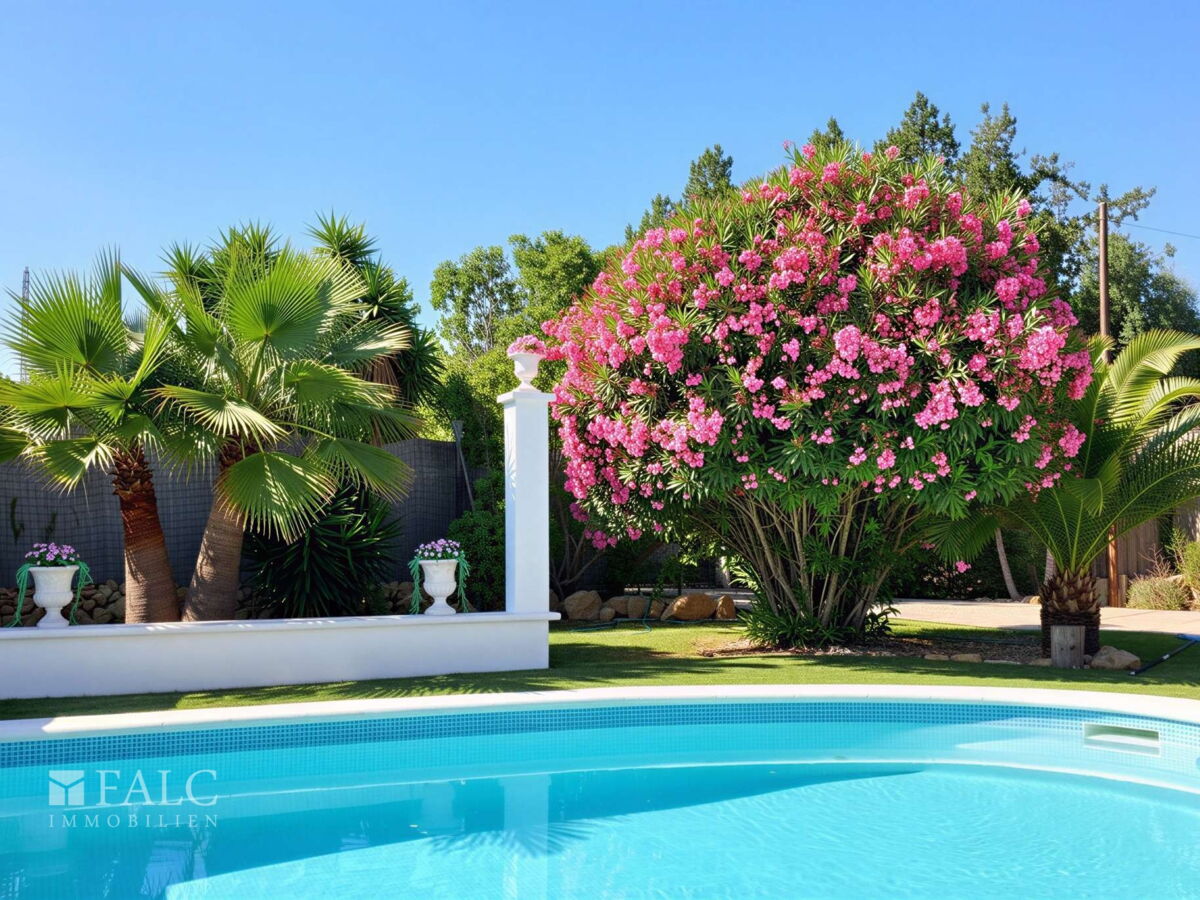 Pool & Garten 