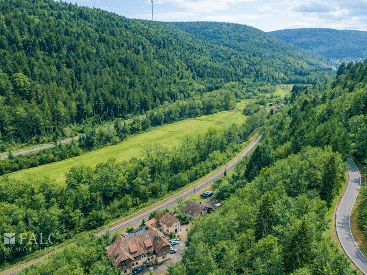 Enztal Richtung Höfen