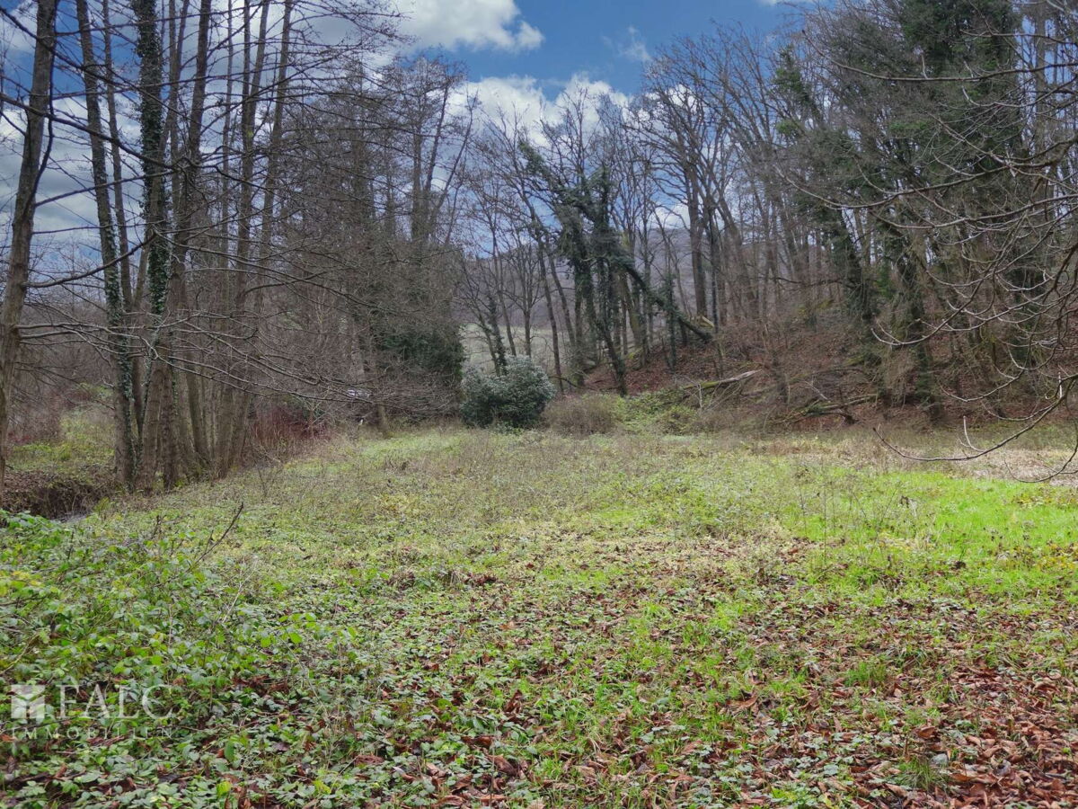  Grundstück-