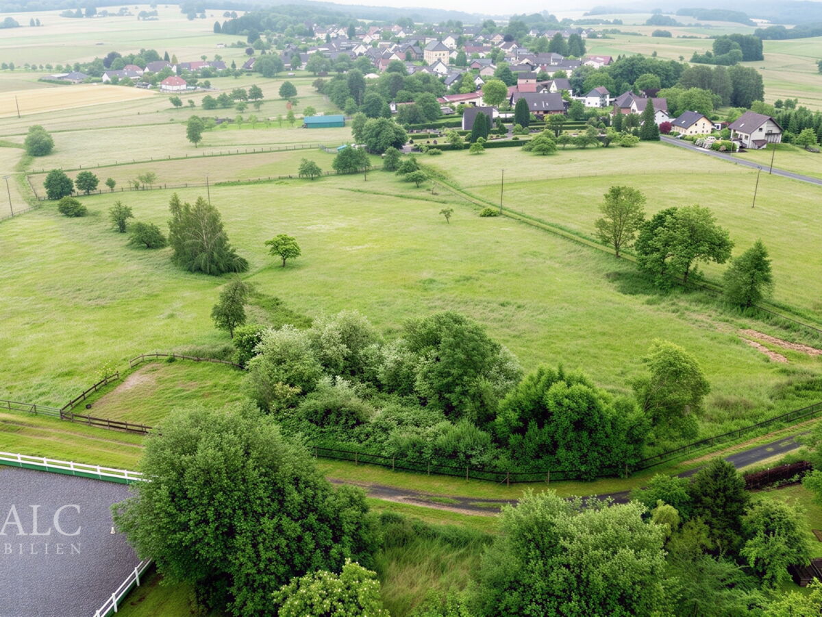 Weiden