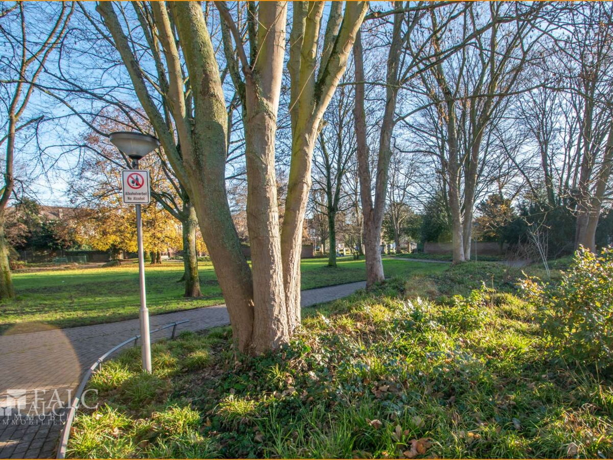 Park hinter dem Haus