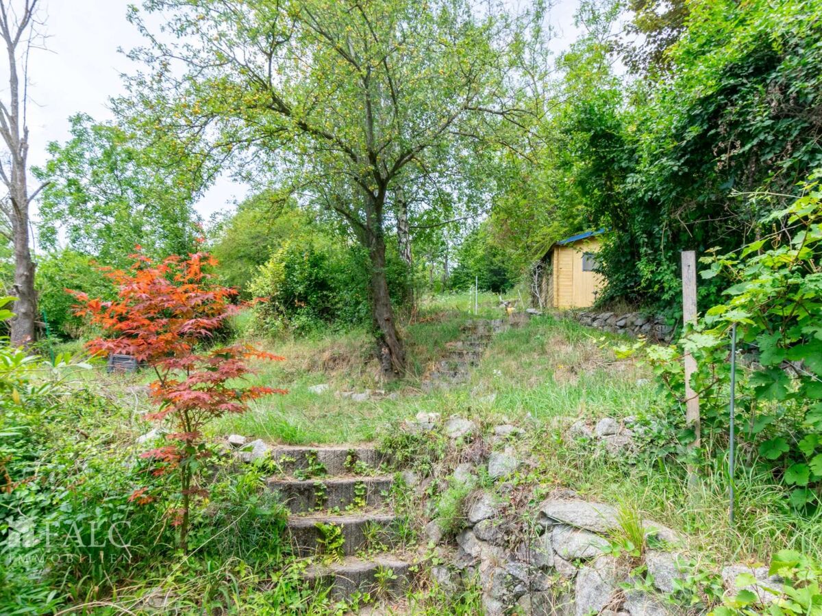 Blick in den Garten