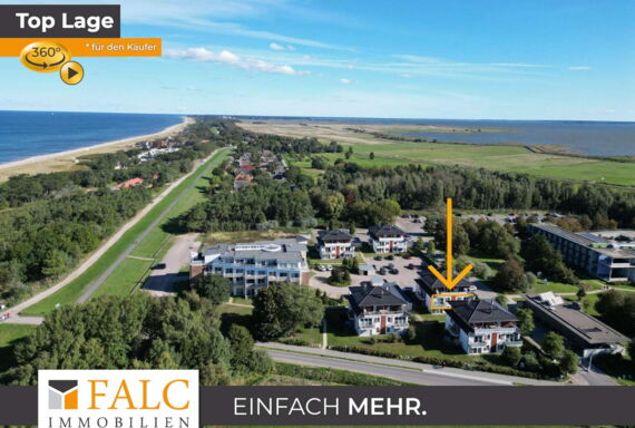 FALC-overlay-image