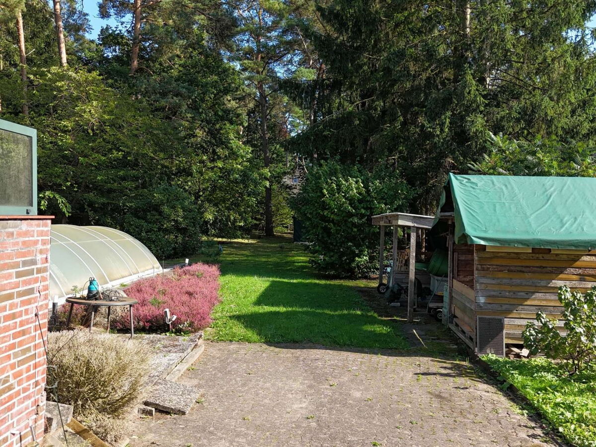Garten mit Pool