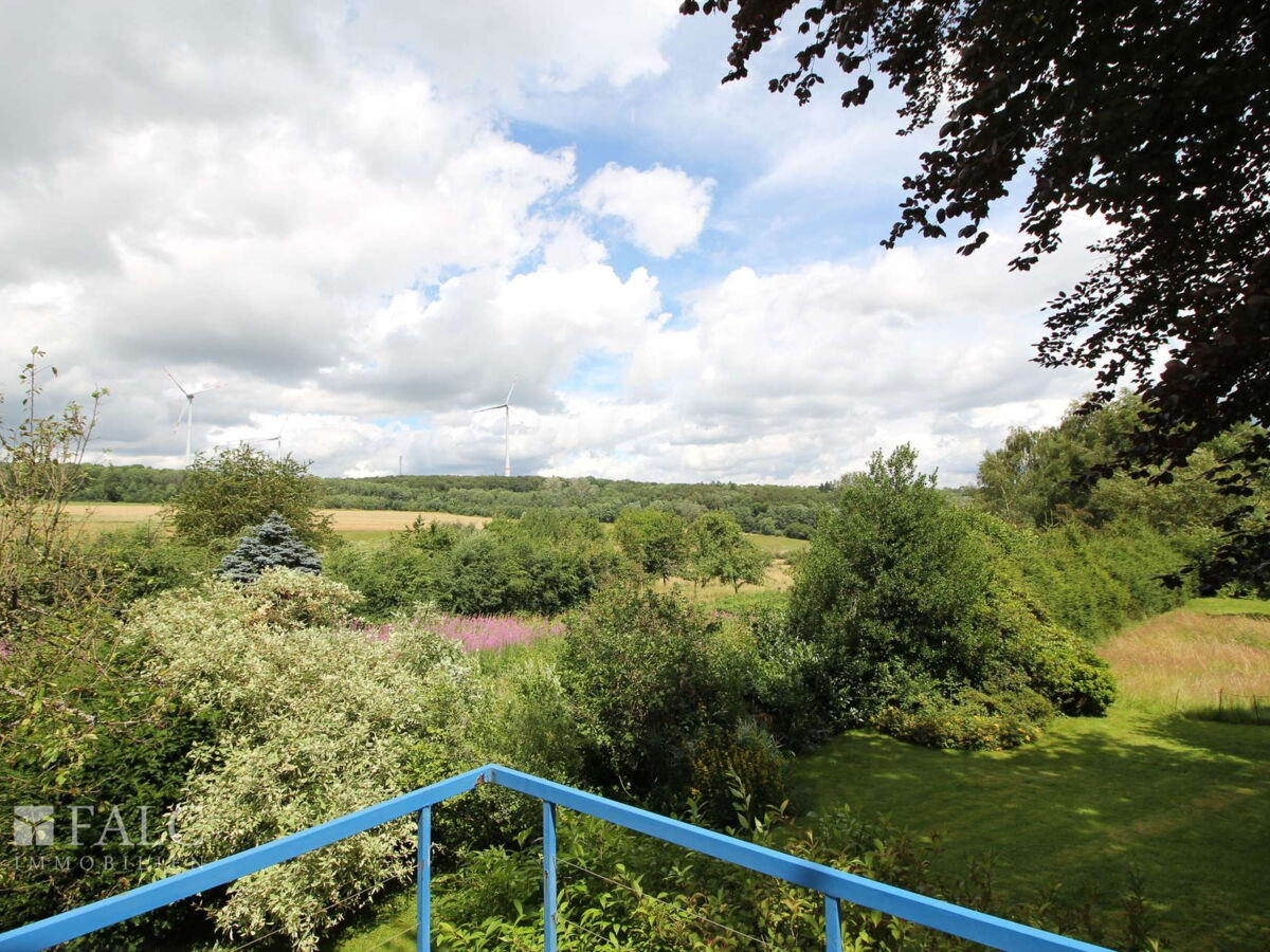 Blick vom Balkon (vor Entkernung) ( mit KI optimiert)