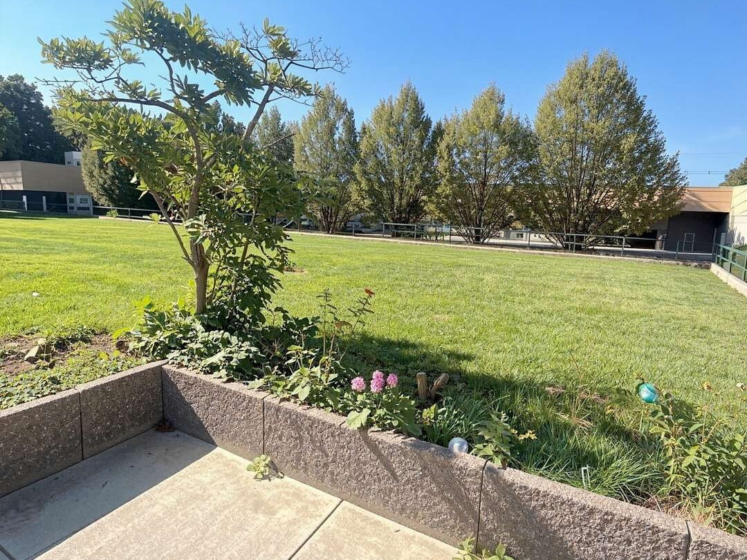 Garten - (KI generiert)