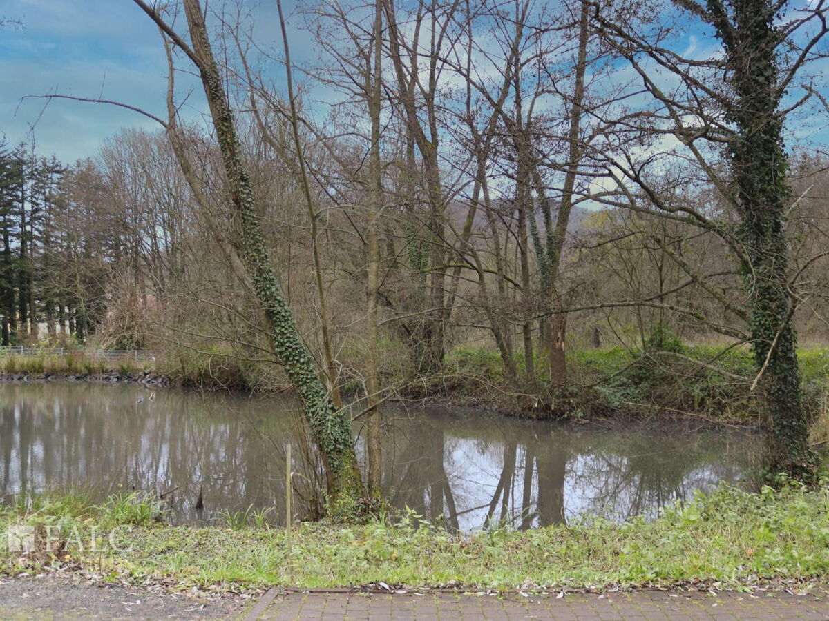  Teich-Schlossgarten