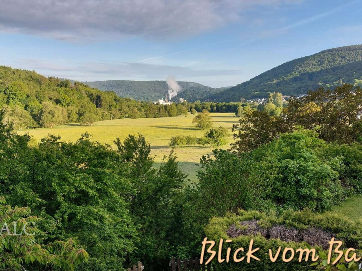 Balkonaussicht