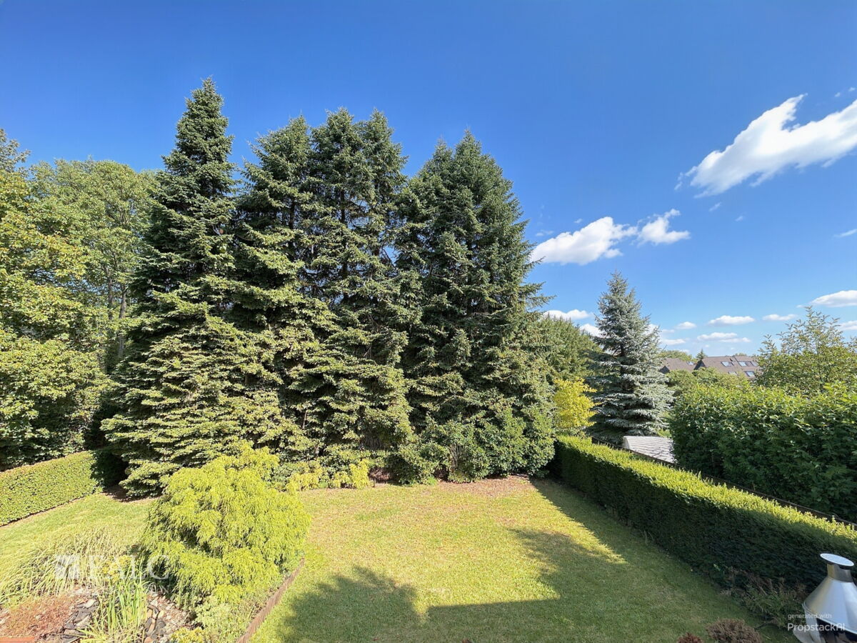 DG Ausblick in den Garten