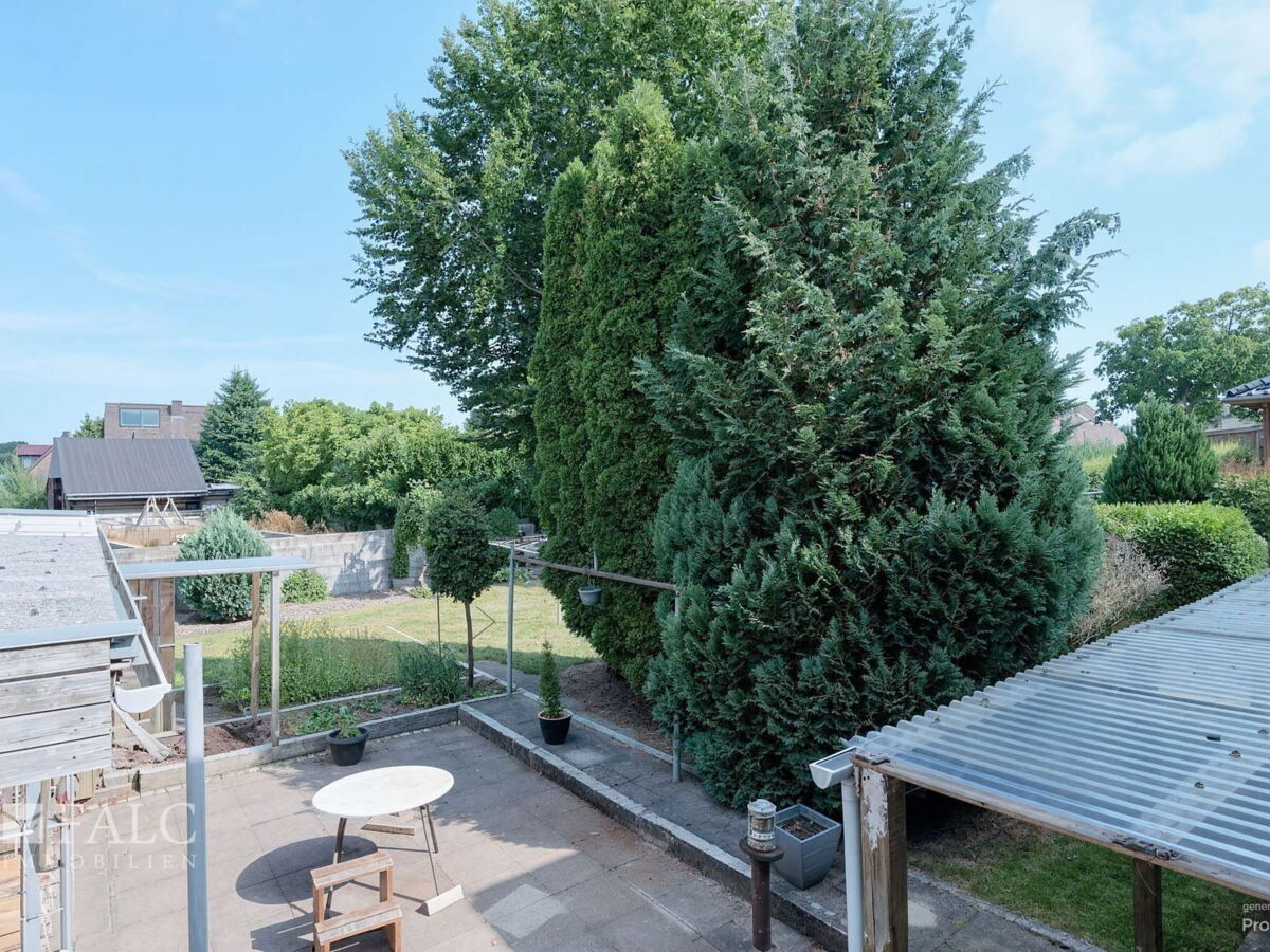 Blick in den Garten
