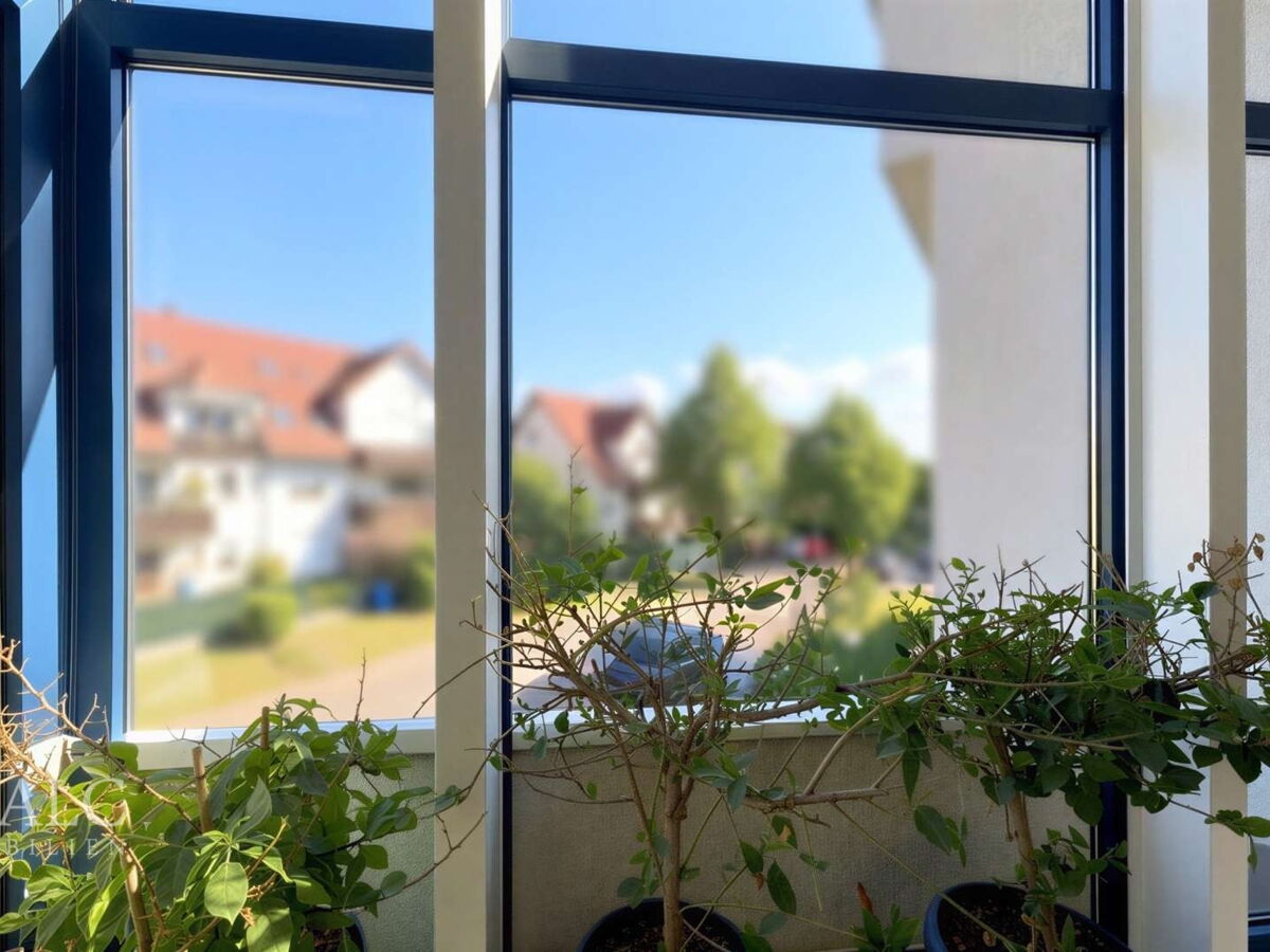 Ausblick