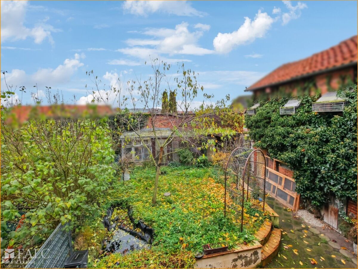 Garten mit großem Schuppen
