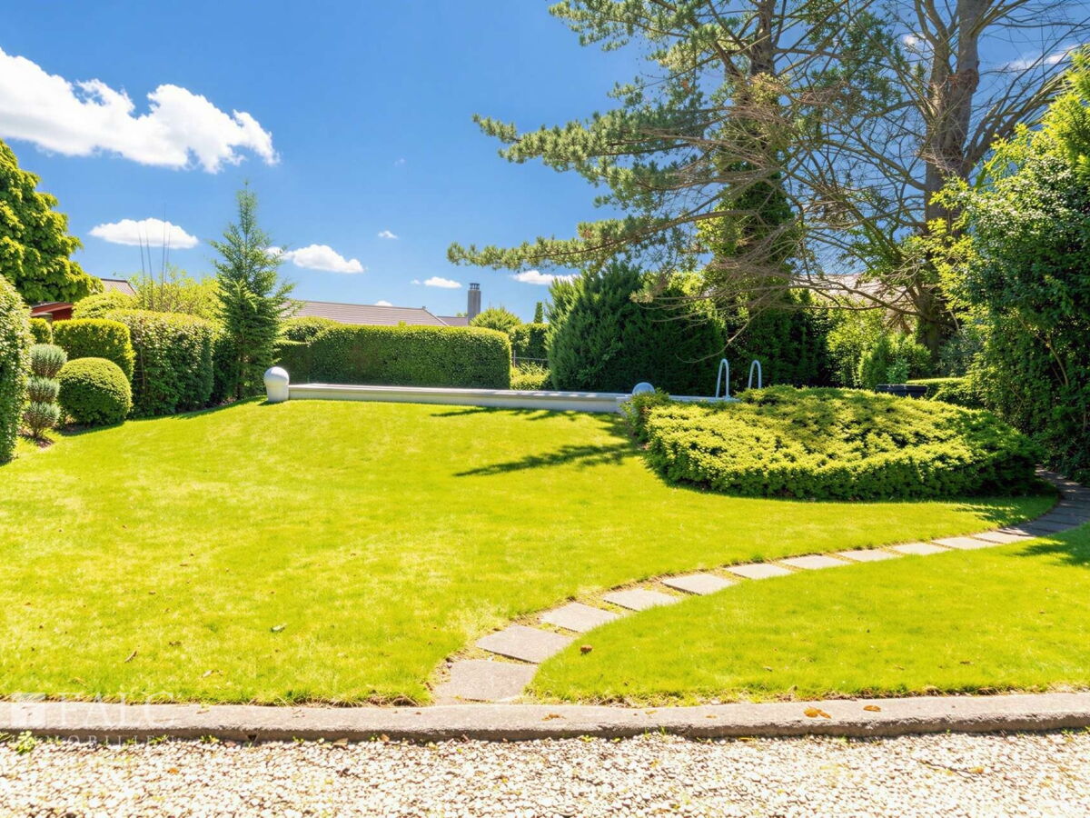 Blick in den Garten