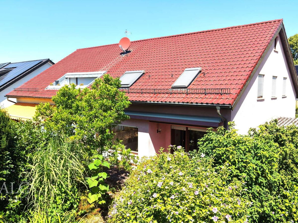 Gepflegtes Dach
