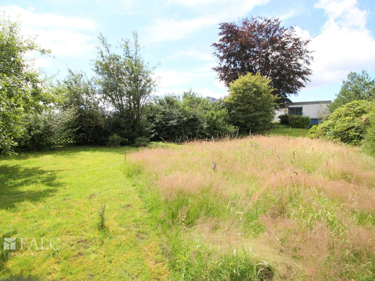 Garten ( mit KI optimiert)