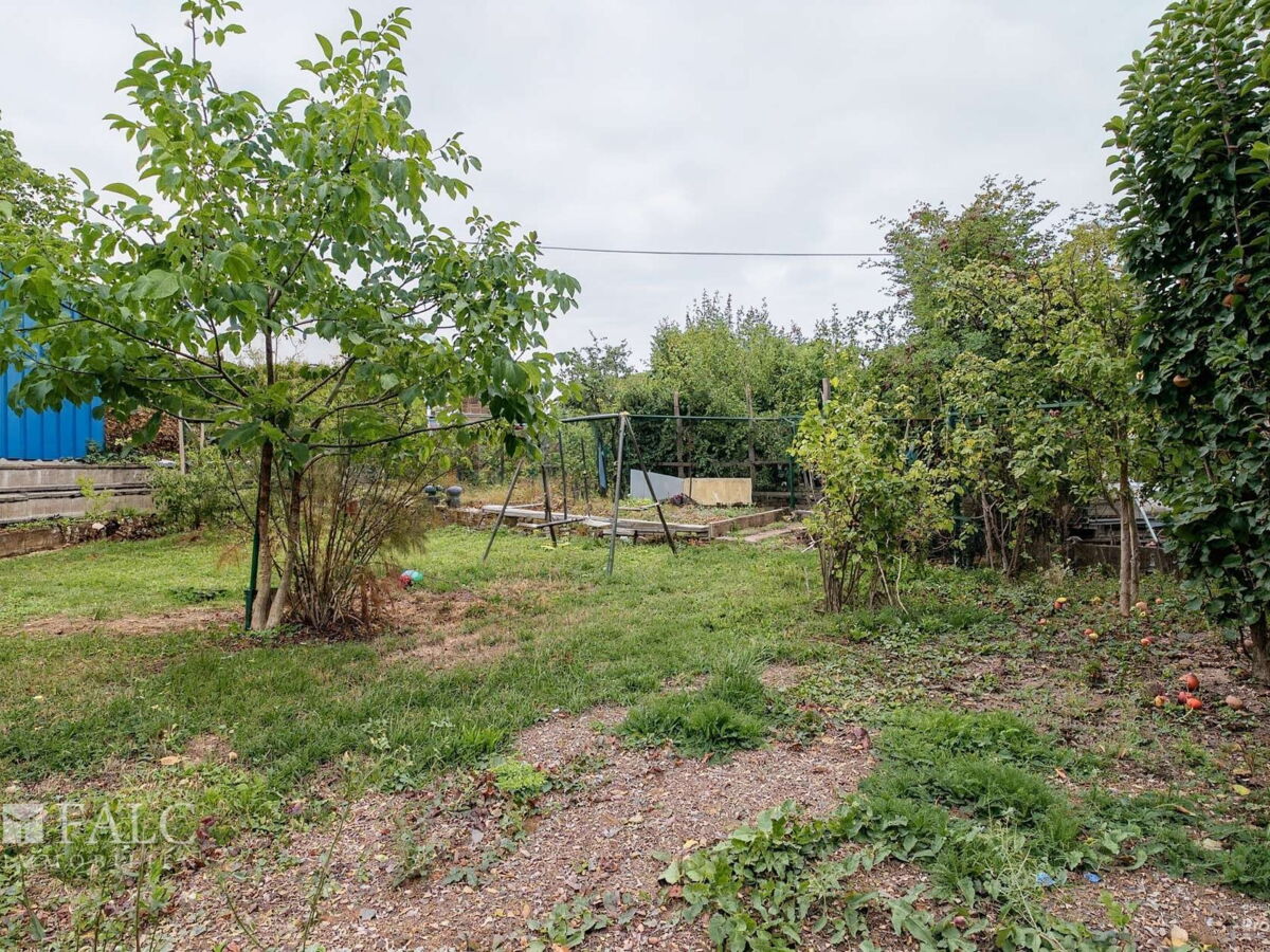 Garten - (KI generiert)